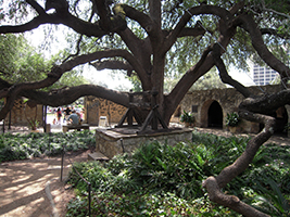The Alamo and Downtown